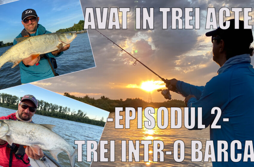  Avat fishing in 3 acts. Day 2, three in a boat!