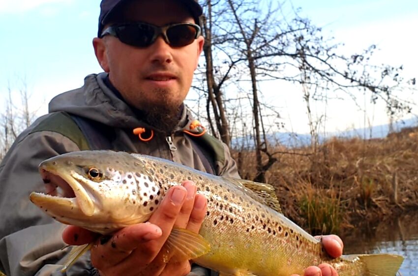  10 Tips for trout fishing with Alex Bucur!