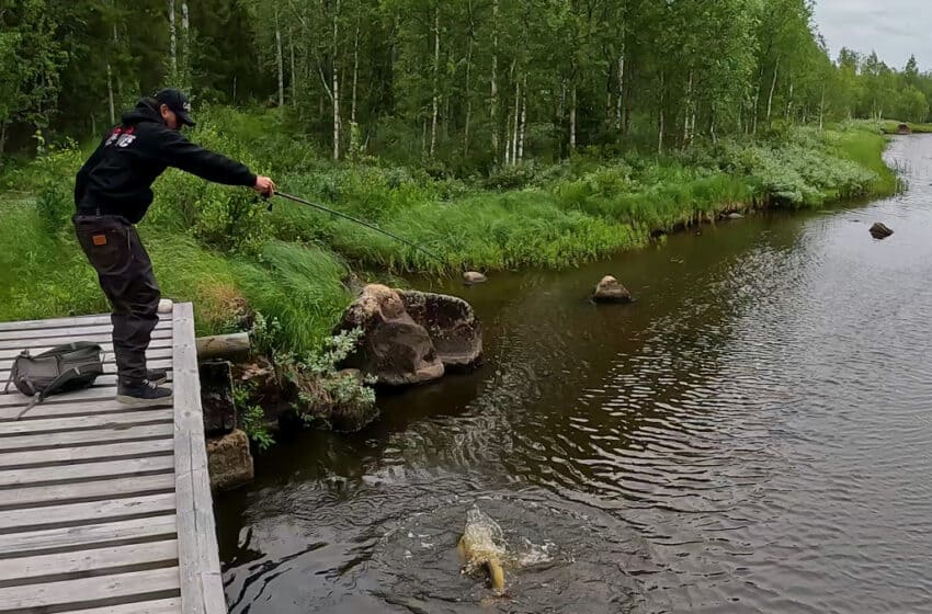  Pierdut în Laponia cu Miuras Mouse, pescuit în mlaștină, episodul 1